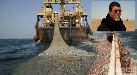 La decisión del TJUE es recibida con alegría por los saharauis en los territorios ocupados