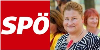 El Partido Socialista austriaco acoge con satisfacción la decisión del TJUE