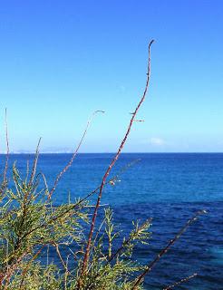 Paseando por el emporion de la Illeta dels Banyets