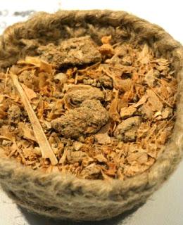 Paseando por el emporion de la Illeta dels Banyets