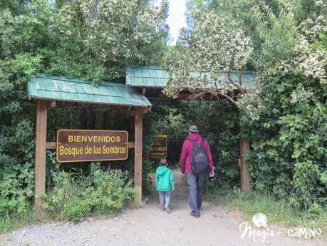 Lago Puelo y los senderos familiares