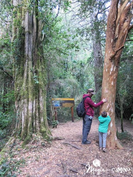 Lago Puelo y los senderos familiares
