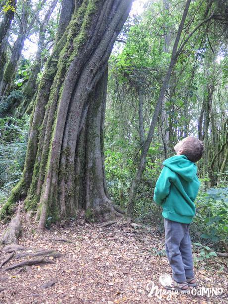 Lago Puelo y los senderos familiares