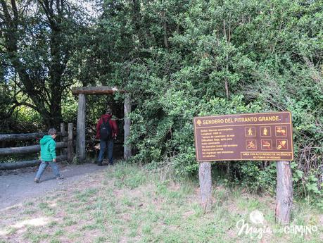 Lago Puelo y los senderos familiares