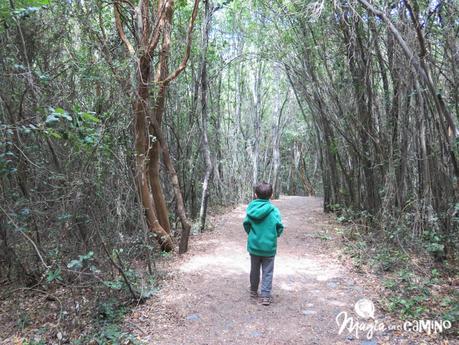 Lago Puelo y los senderos familiares