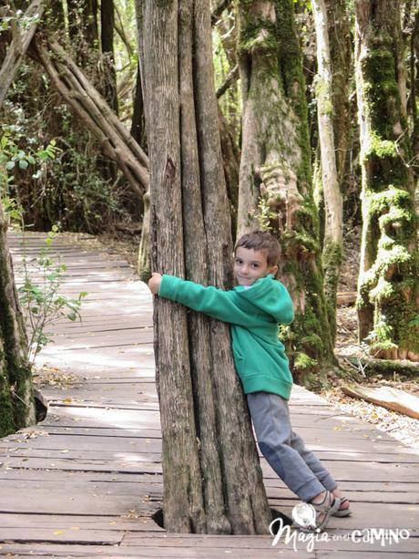 Lago Puelo y los senderos familiares