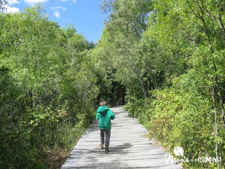 Lago Puelo y los senderos familiares