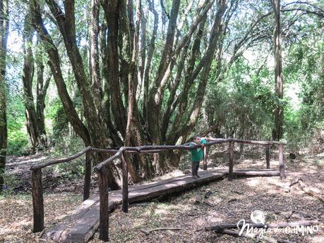 Lago Puelo y los senderos familiares