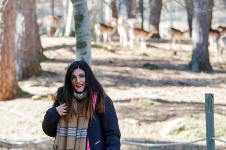 Un paseo entre animales Un paseo entre animales
