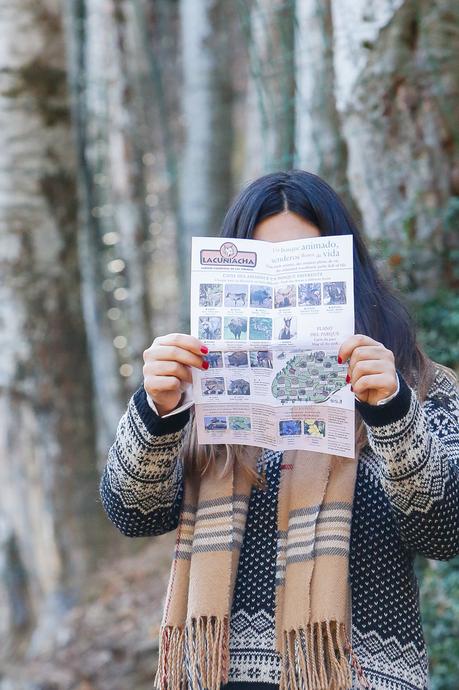 Un paseo entre animales Un paseo entre animales