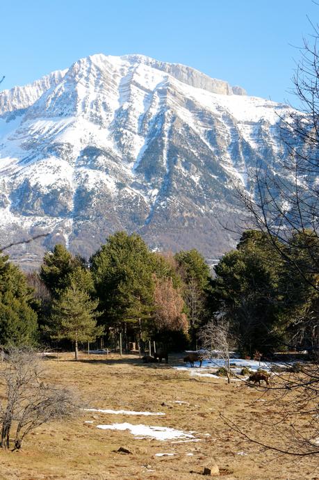 Un paseo entre animales Un paseo entre animales