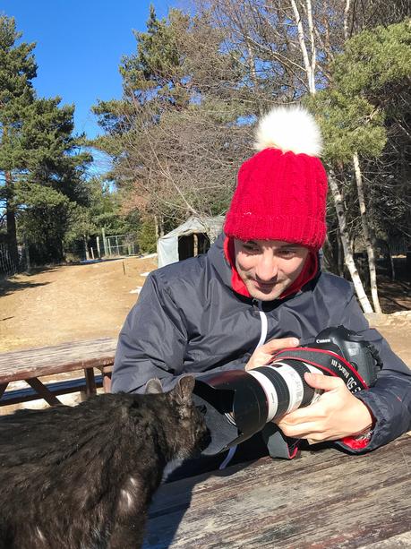 Un paseo entre animales Un paseo entre animales