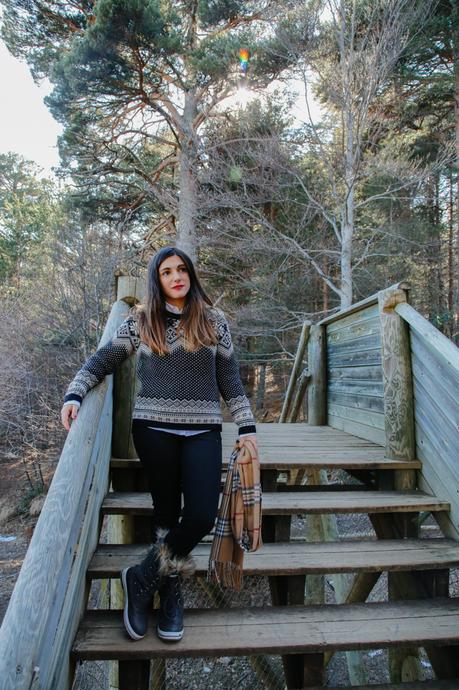 Un paseo entre animales Un paseo entre animales