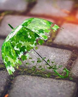 SE PONE A LLOVIZNAR...