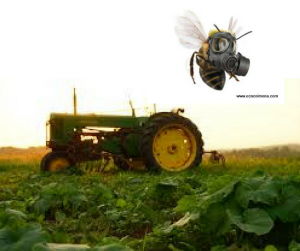 Quebec impone nuevas restricciones a los pesticidas para proteger a las abejas melíferas