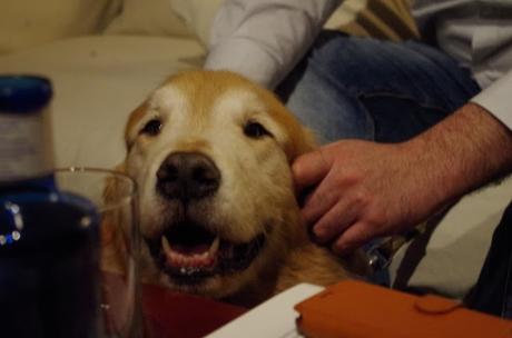 Encuentro Emilio Ortiz libro vida perro feliz