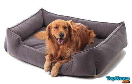 Petsbao-Premium-Orthopedic-top-10-mejores-camas-para-perros