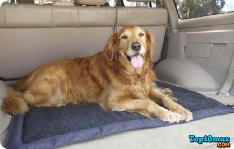 Ruff-Tuff-top-10-mejores-camas-para-perros