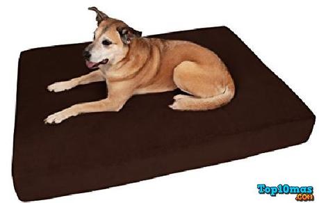 Big-Barker-7-top-10-mejores-camas-para-perros