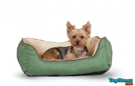K-&-H-top-10-mejores-camas-para-perros