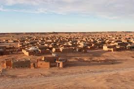 Concejales de todos los grupos viajan a los campamentos saharauis en la primera visita institucional de Madrid tras 30 años de cooperación