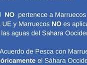 Países, organizaciones partidos políticos saludan reciente Sentencia TJUE