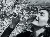 Christine Granville, mejor espía