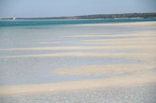 LA LENGUA DEL SILENCIO LA LENGUA DEL SILENCIO