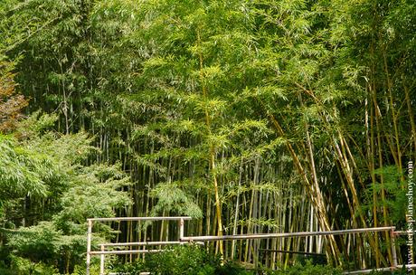 Bambú Villa Carlota Lago di Como Italia viaje