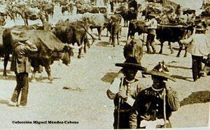 Fotos antiguas del mercado de ganados de Talavera de la Reina (I)