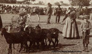 Fotos antiguas del mercado de ganados de Talavera de la Reina (I)
