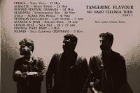  Conciertos 2018 de Tangerine Flavour