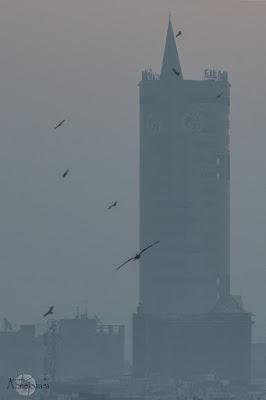 Torre-New-Delhi