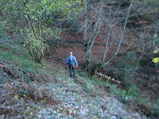 Por los praos de Vil.lar de Cinfuegos y Las Chanas