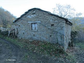 Por los praos de Vil.lar de Cinfuegos y Las Chanas