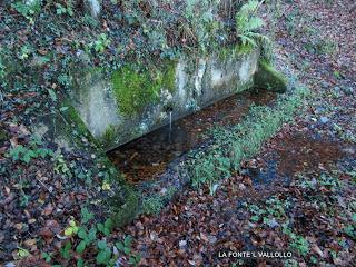 Por los praos de Vil.lar de Cinfuegos y Las Chanas
