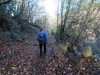Por los praos de Vil.lar de Cinfuegos y Las Chanas