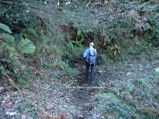 Por los praos de Vil.lar de Cinfuegos y Las Chanas