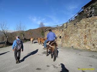 Por los praos de Vil.lar de Cinfuegos y Las Chanas