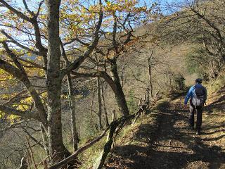Por los praos de Vil.lar de Cinfuegos y Las Chanas