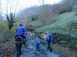 Por los praos de Vil.lar de Cinfuegos y Las Chanas