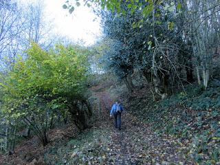 Por los praos de Vil.lar de Cinfuegos y Las Chanas