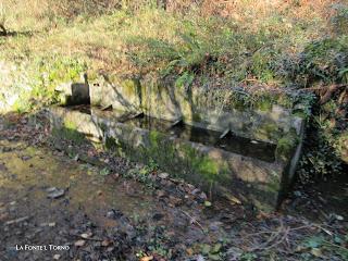 Por los praos de Vil.lar de Cinfuegos y Las Chanas