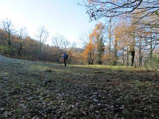 Por los praos de Vil.lar de Cinfuegos y Las Chanas