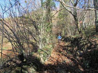 Por los praos de Vil.lar de Cinfuegos y Las Chanas