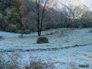 Por los praos de Vil.lar de Cinfuegos y Las Chanas