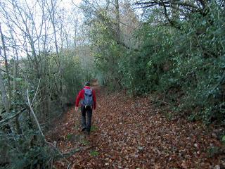 Por los praos de Vil.lar de Cinfuegos y Las Chanas