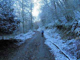 Por los praos de Vil.lar de Cinfuegos y Las Chanas