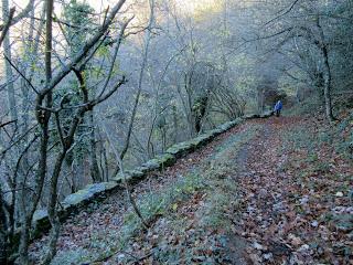 Por los praos de Vil.lar de Cinfuegos y Las Chanas