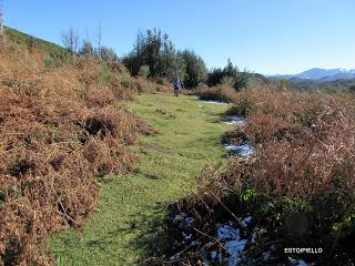 Por los praos de Vil.lar de Cinfuegos y Las Chanas